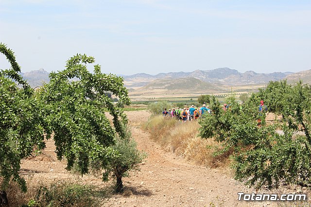 Peregrinacin de la Hdad. de Jess en el Calvario a Caravaca - 383