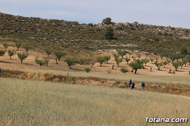 Peregrinacin de la Hdad. de Jess en el Calvario a Caravaca - 518