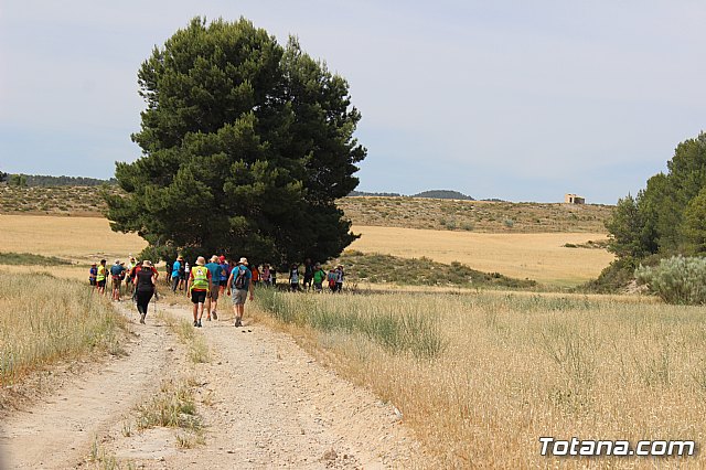Peregrinacin de la Hdad. de Jess en el Calvario a Caravaca - 521