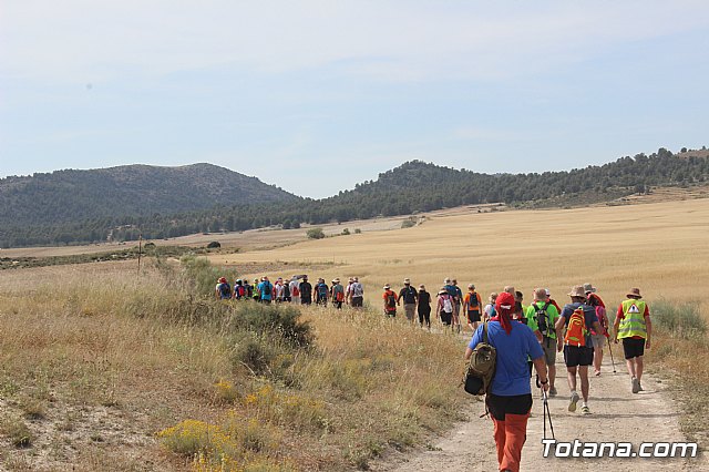 Peregrinacin de la Hdad. de Jess en el Calvario a Caravaca - 529
