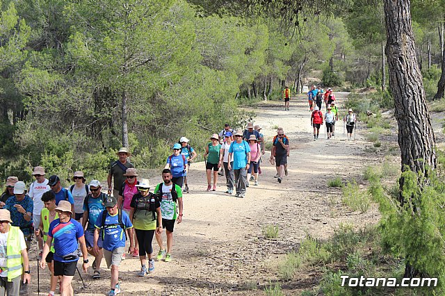 Peregrinacin de la Hdad. de Jess en el Calvario a Caravaca - 533
