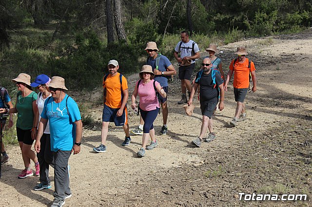 Peregrinacin de la Hdad. de Jess en el Calvario a Caravaca - 541