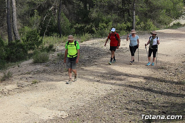 Peregrinacin de la Hdad. de Jess en el Calvario a Caravaca - 542