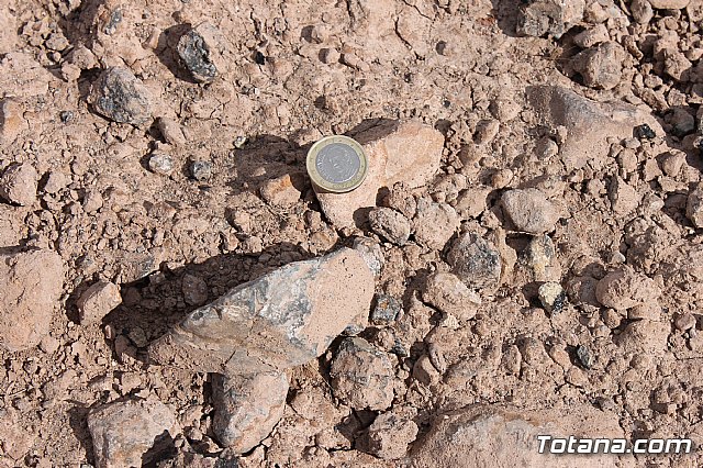 Denuncian el estado calamitoso del camino de los Yesares, en la diputacin de Mort - 71