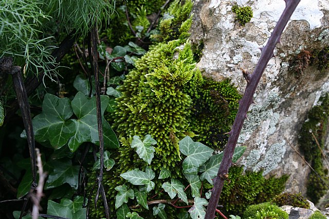 Ruta senderista Torcal de Antequera y Caminito del Rey (Mlaga) - 18