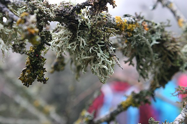Ruta senderista Torcal de Antequera y Caminito del Rey (Mlaga) - 19