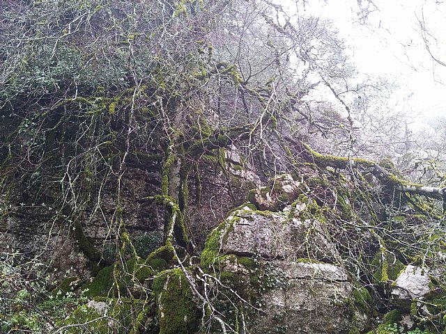 Ruta senderista Torcal de Antequera y Caminito del Rey (Mlaga) - 28