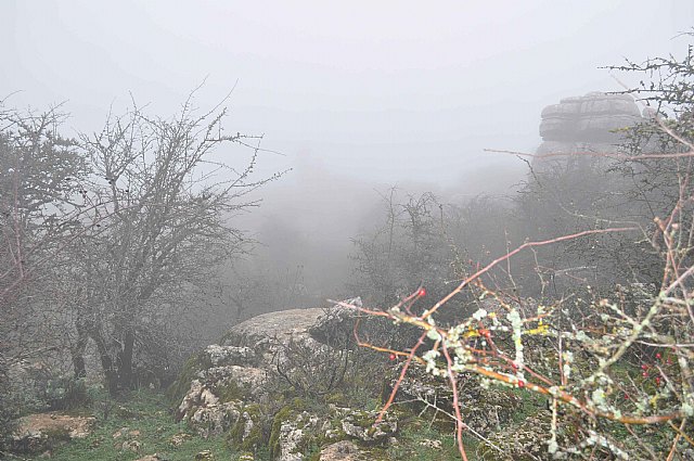 Ruta senderista Torcal de Antequera y Caminito del Rey (Mlaga) - 46