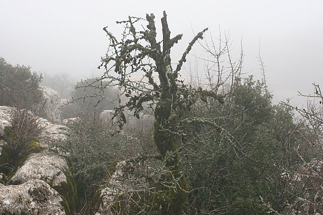 Ruta senderista Torcal de Antequera y Caminito del Rey (Mlaga) - 69