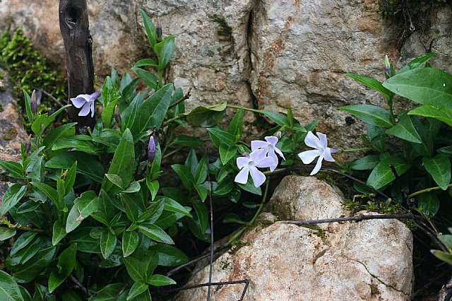 Ruta senderista Torcal de Antequera y Caminito del Rey (Mlaga) - 72