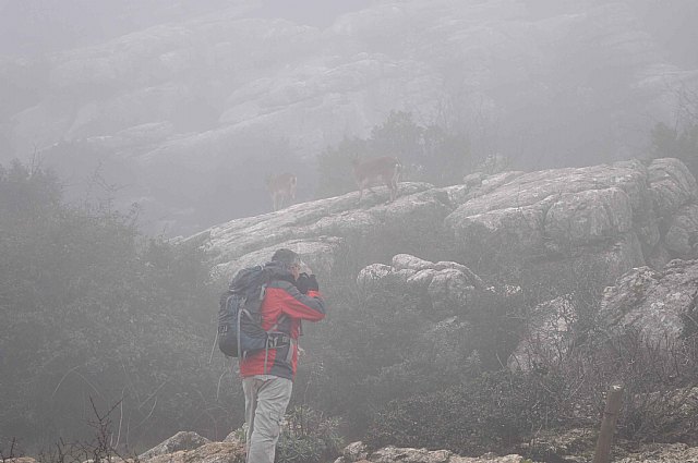 Ruta senderista Torcal de Antequera y Caminito del Rey (Mlaga) - 112