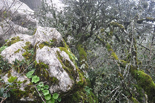 Ruta senderista Torcal de Antequera y Caminito del Rey (Mlaga) - 118