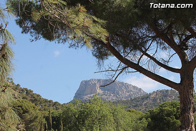 Campamento aula de naturaleza de 