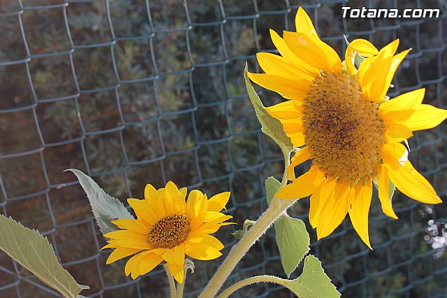 Campamento aula de naturaleza de 