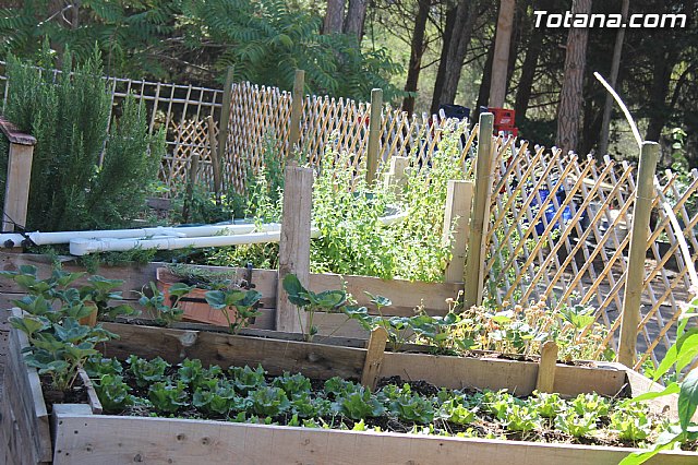 Campamento aula de naturaleza de 