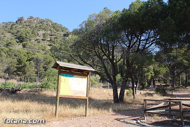 Campamento de Verano en Las Alquera 2015 - 1