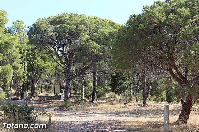 Campamento de Verano en Las Alquera 2015 - 3