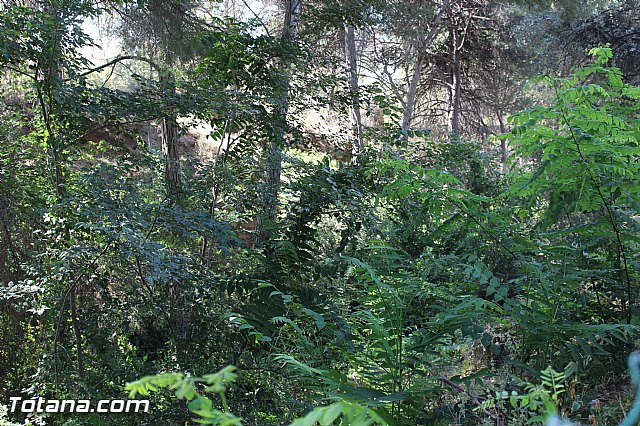 Campamento de Verano en Las Alquera 2015 - 72