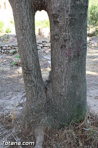 Campamento de Verano en Las Alquera 2015 - 83