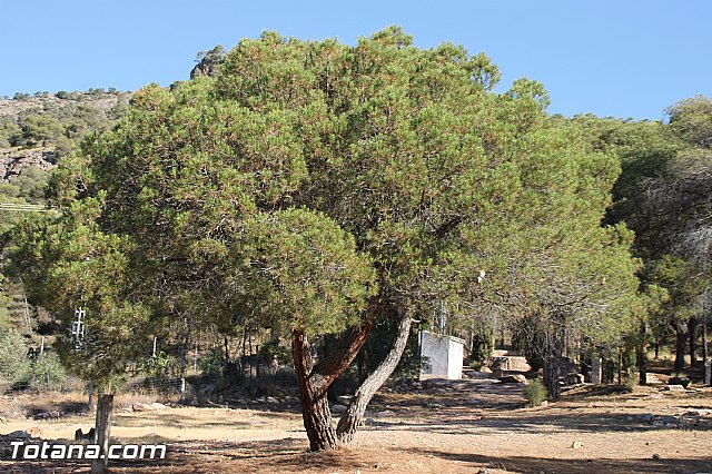 Campamento de Las Alqueras 2016 - 2