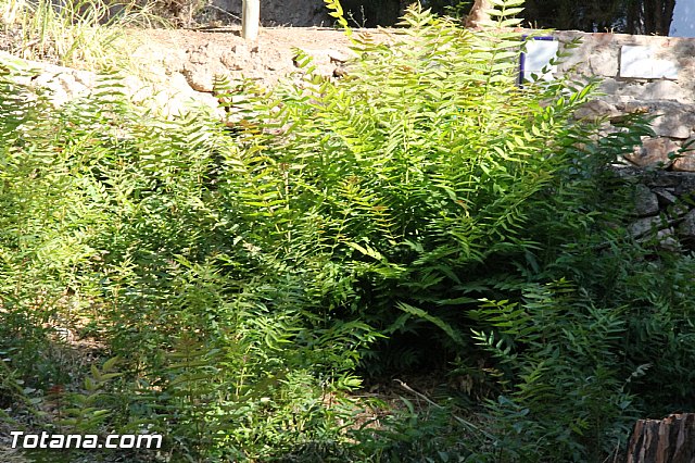 Campamento de Las Alqueras 2016 - 42