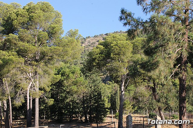 Campamento de Las Alqueras 2017 - 1