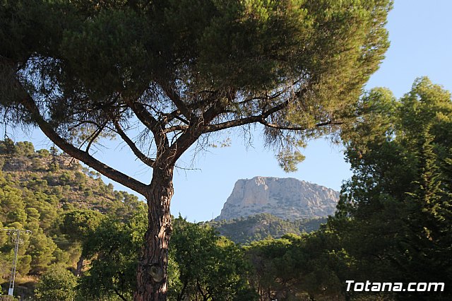 Campamento de Las Alqueras 2017 - 2