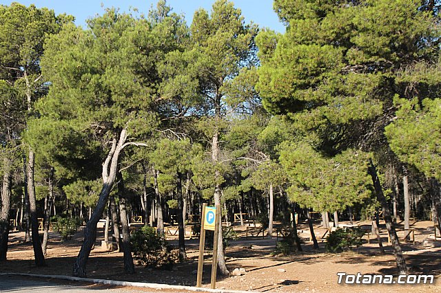 Campamento de Las Alqueras 2017 - 95