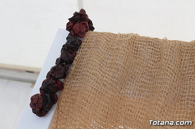 Totana acoge el evento Soy Rural: Encuentros por el desarrollo que promueve Campoder - 12