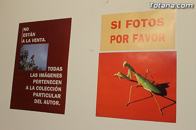 Exposicin fotogrfica Naturaleza cercana - Jos Mara Campos - 2