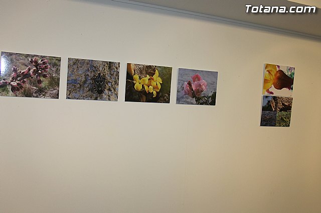 Exposicin fotogrfica Naturaleza cercana - Jos Mara Campos - 7
