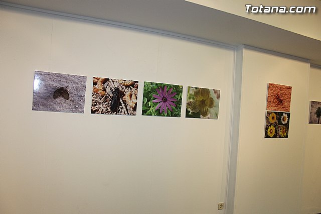 Exposicin fotogrfica Naturaleza cercana - Jos Mara Campos - 8