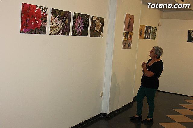 Exposicin fotogrfica Naturaleza cercana - Jos Mara Campos - 9