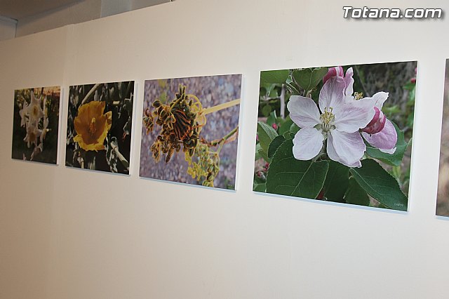 Exposicin fotogrfica Naturaleza cercana - Jos Mara Campos - 10