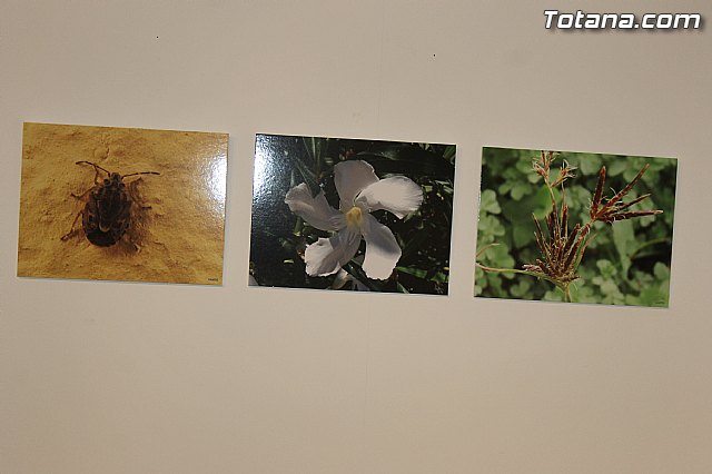 Exposicin fotogrfica Naturaleza cercana - Jos Mara Campos - 11