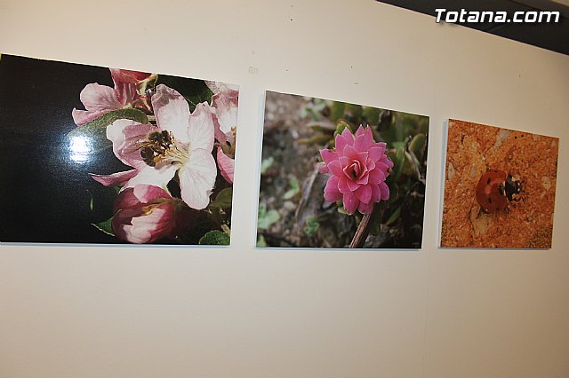 Exposicin fotogrfica Naturaleza cercana - Jos Mara Campos - 14