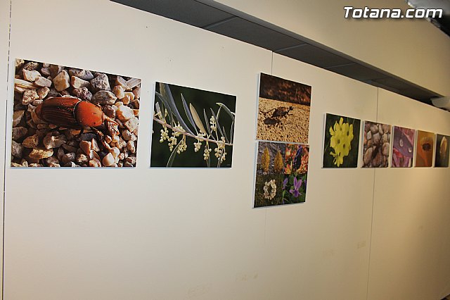Exposicin fotogrfica Naturaleza cercana - Jos Mara Campos - 15