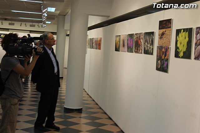 Exposicin fotogrfica Naturaleza cercana - Jos Mara Campos - 21