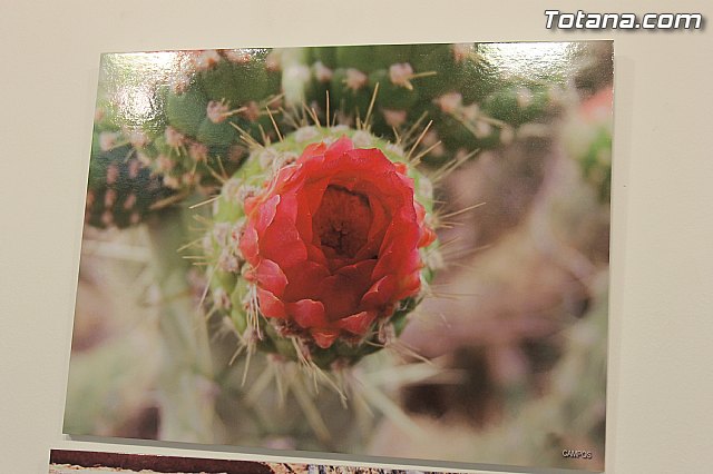 Exposicin fotogrfica Naturaleza cercana - Jos Mara Campos - 38