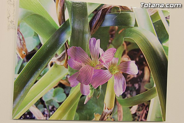 Exposicin fotogrfica Naturaleza cercana - Jos Mara Campos - 52