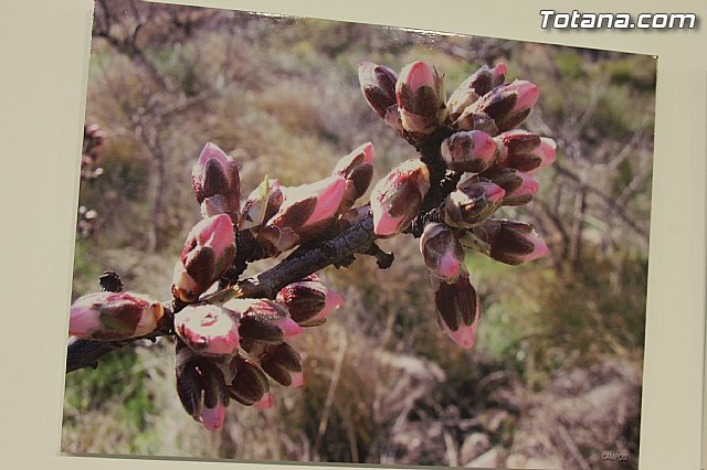 Exposicin fotogrfica Naturaleza cercana - Jos Mara Campos - 61