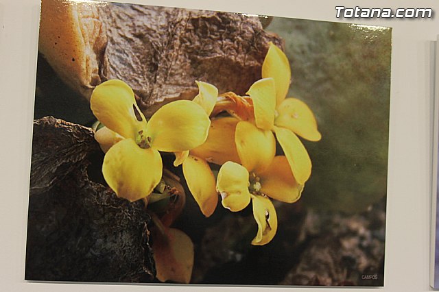 Exposicin fotogrfica Naturaleza cercana - Jos Mara Campos - 63