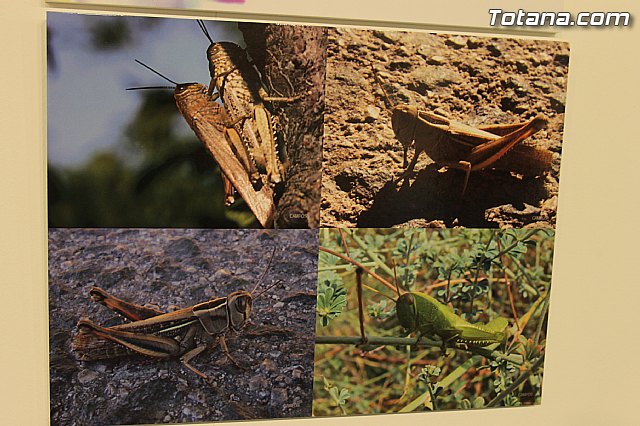 Exposicin fotogrfica Naturaleza cercana - Jos Mara Campos - 65