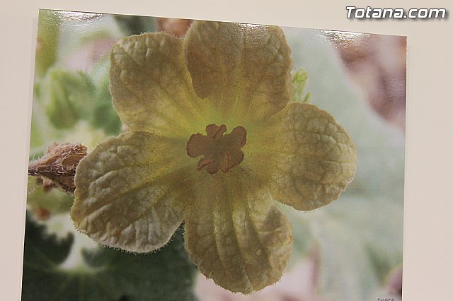 Exposicin fotogrfica Naturaleza cercana - Jos Mara Campos - 70