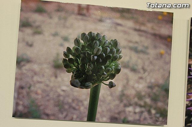 Exposicin fotogrfica Naturaleza cercana - Jos Mara Campos - 73