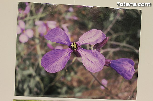 Exposicin fotogrfica Naturaleza cercana - Jos Mara Campos - 78