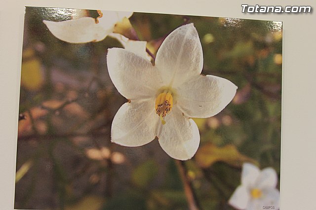 Exposicin fotogrfica Naturaleza cercana - Jos Mara Campos - 82