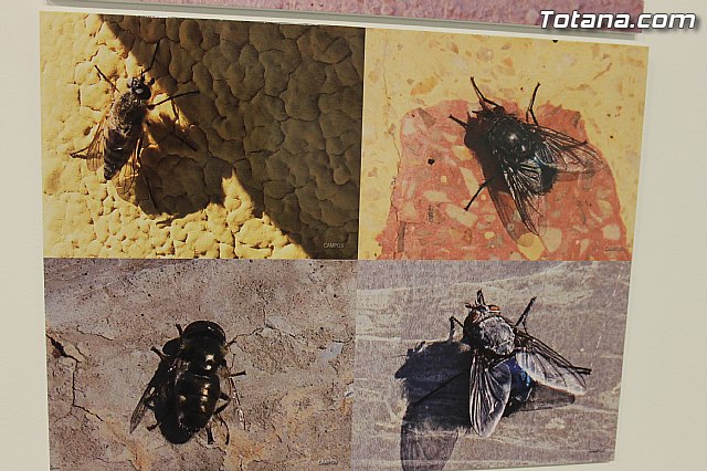 Exposicin fotogrfica Naturaleza cercana - Jos Mara Campos - 83