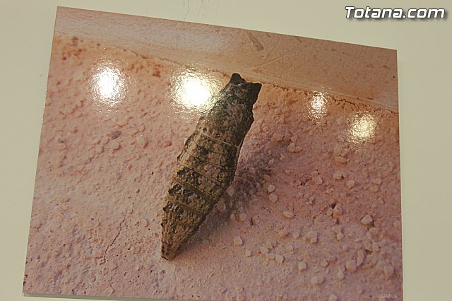 Exposicin fotogrfica Naturaleza cercana - Jos Mara Campos - 84