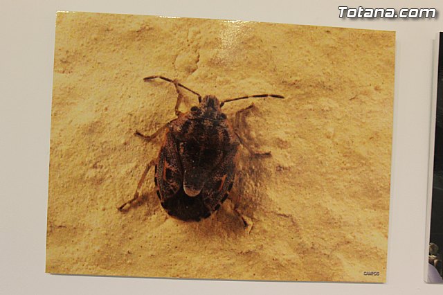 Exposicin fotogrfica Naturaleza cercana - Jos Mara Campos - 85